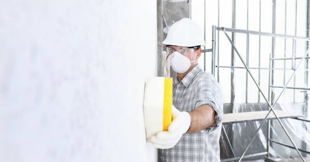 Best Environmental Consulting for Mold Prevention  in Franklin Park, IL